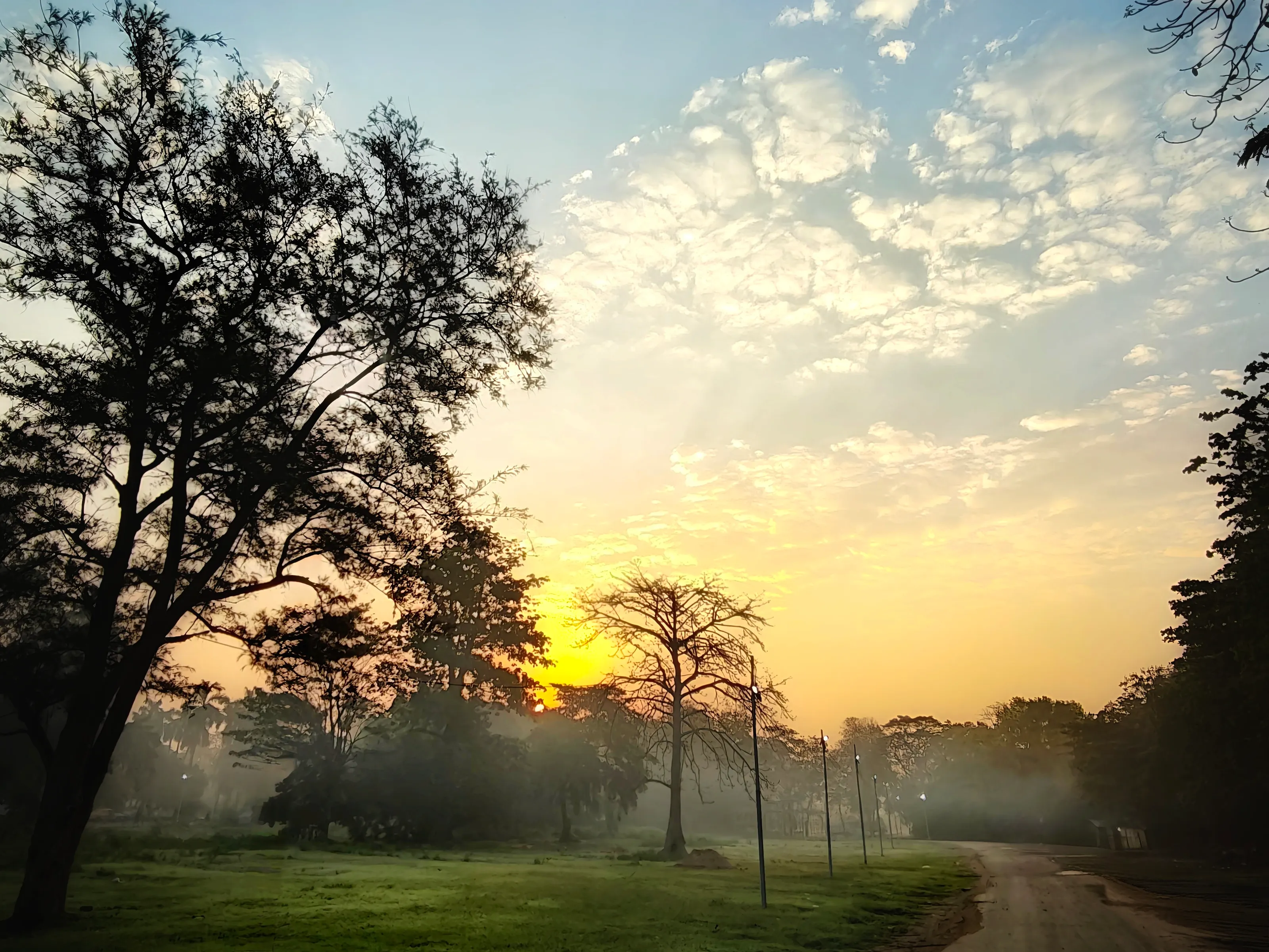 The Golden Awakening