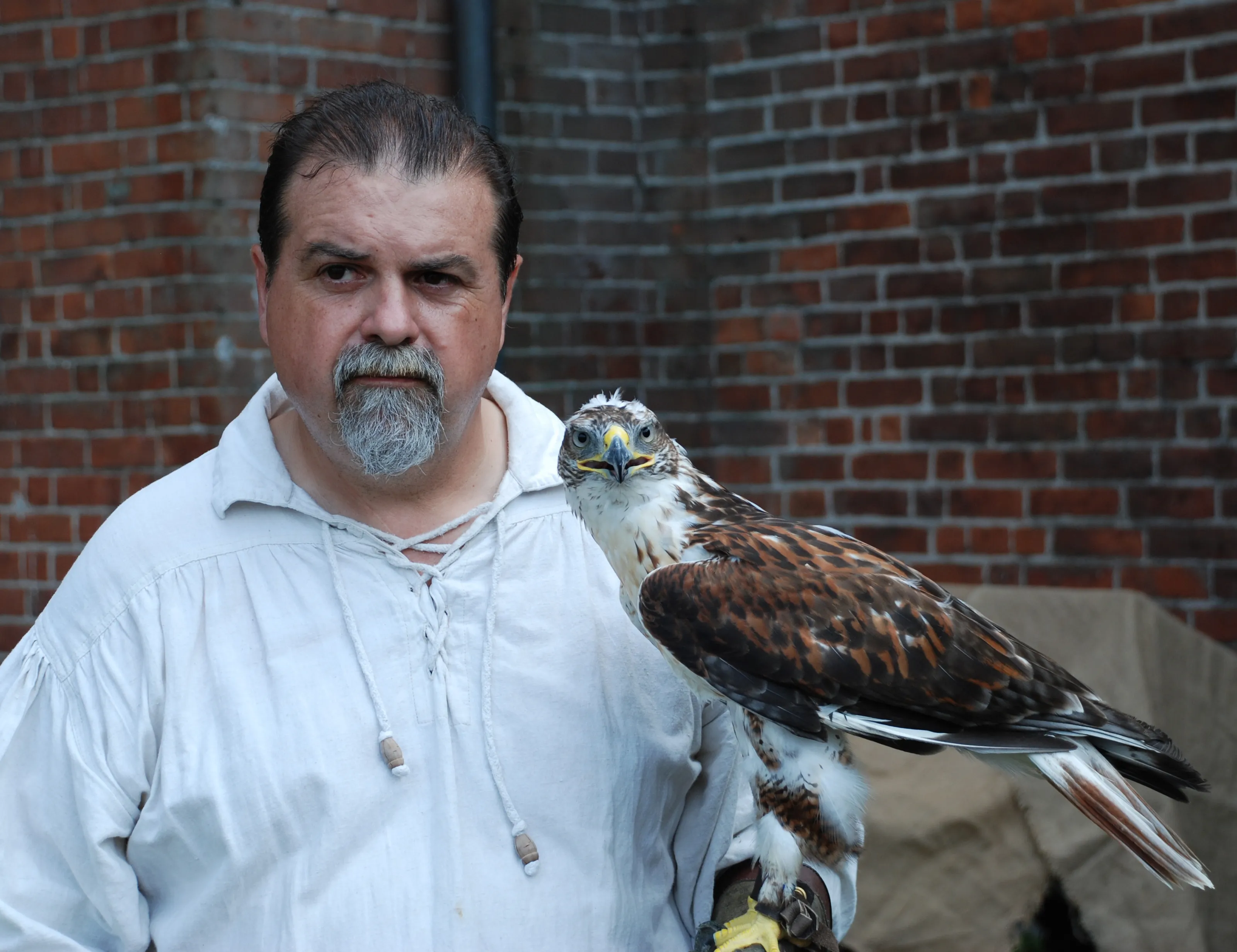 Falconer