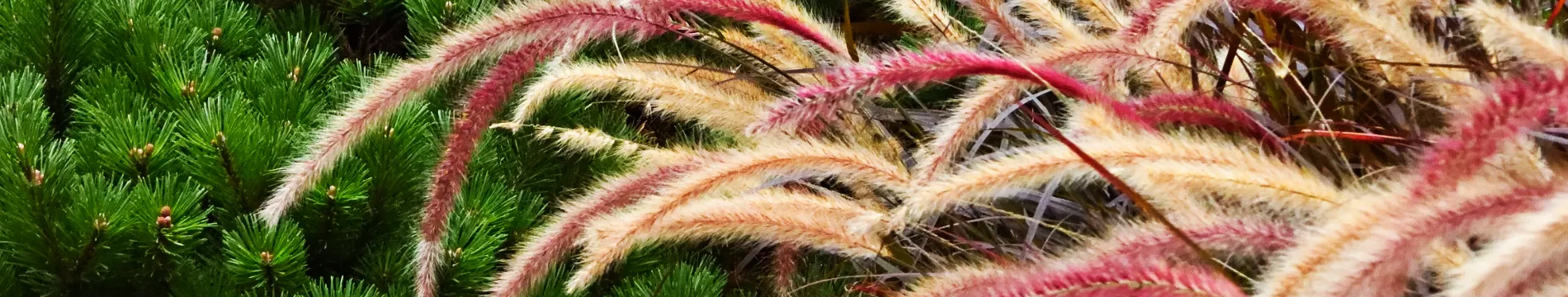 banner #1
