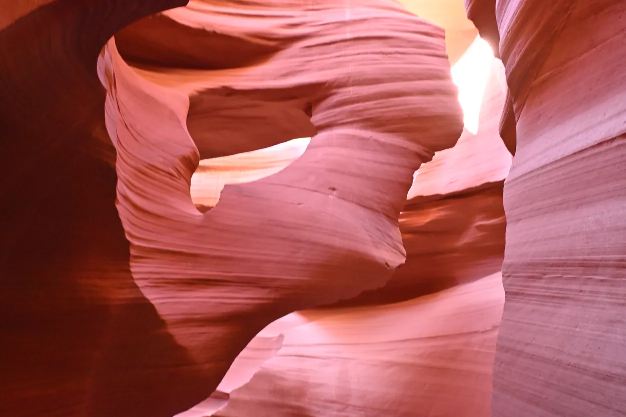 Entry 28467408