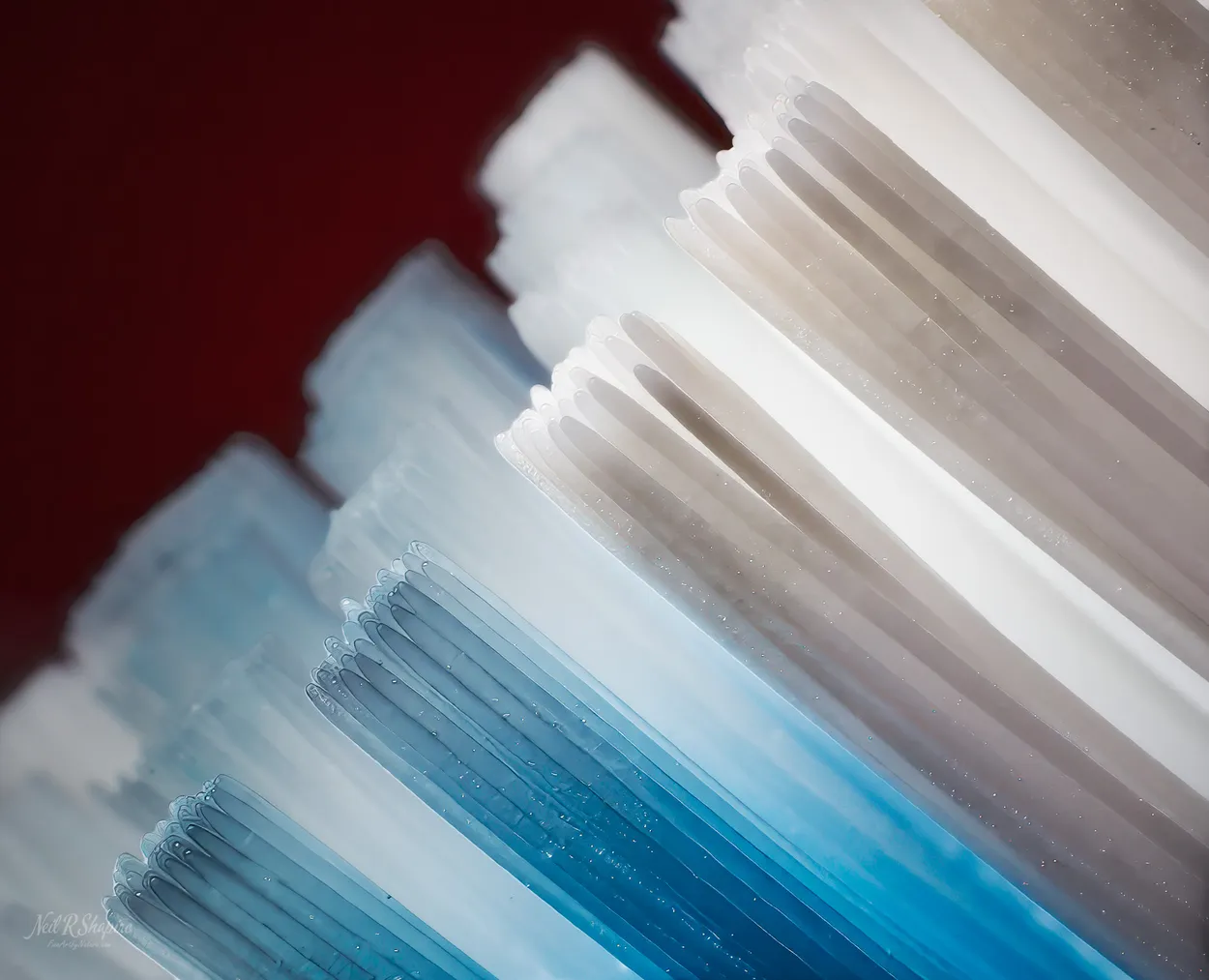 Polymer Perspective