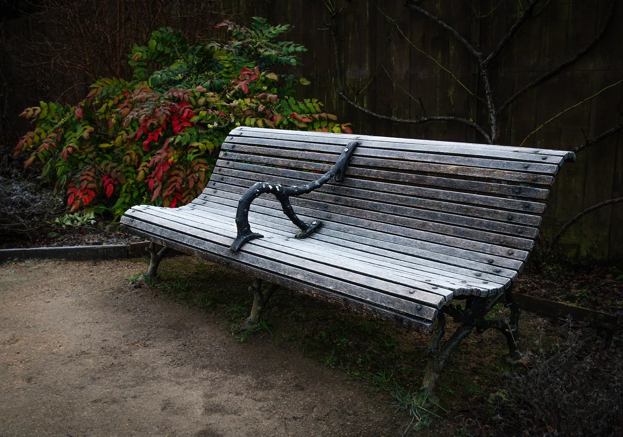 Frosty bench