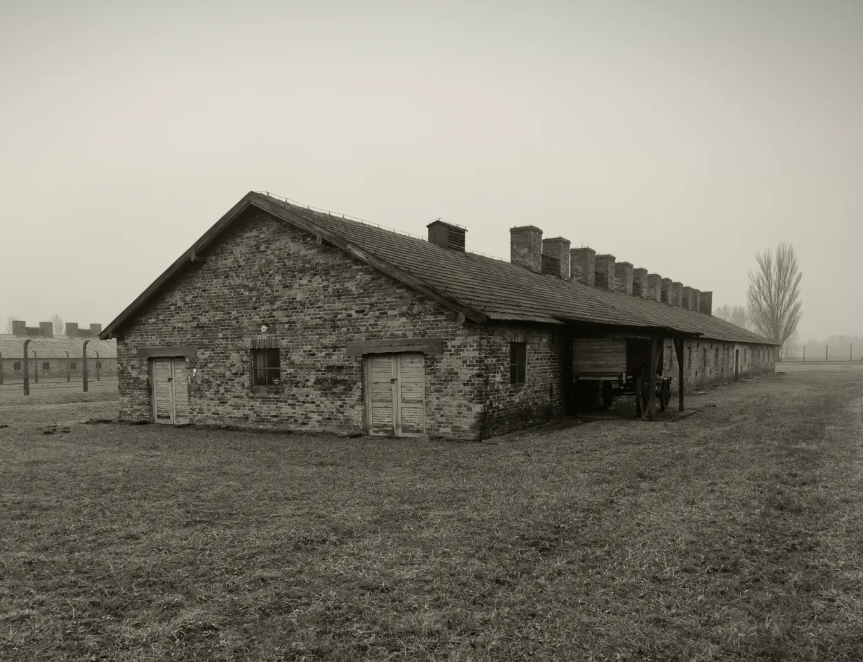 Birkenau