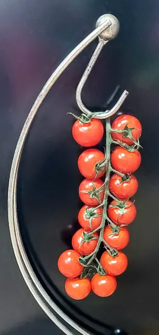 Tomatoes; just hanging around