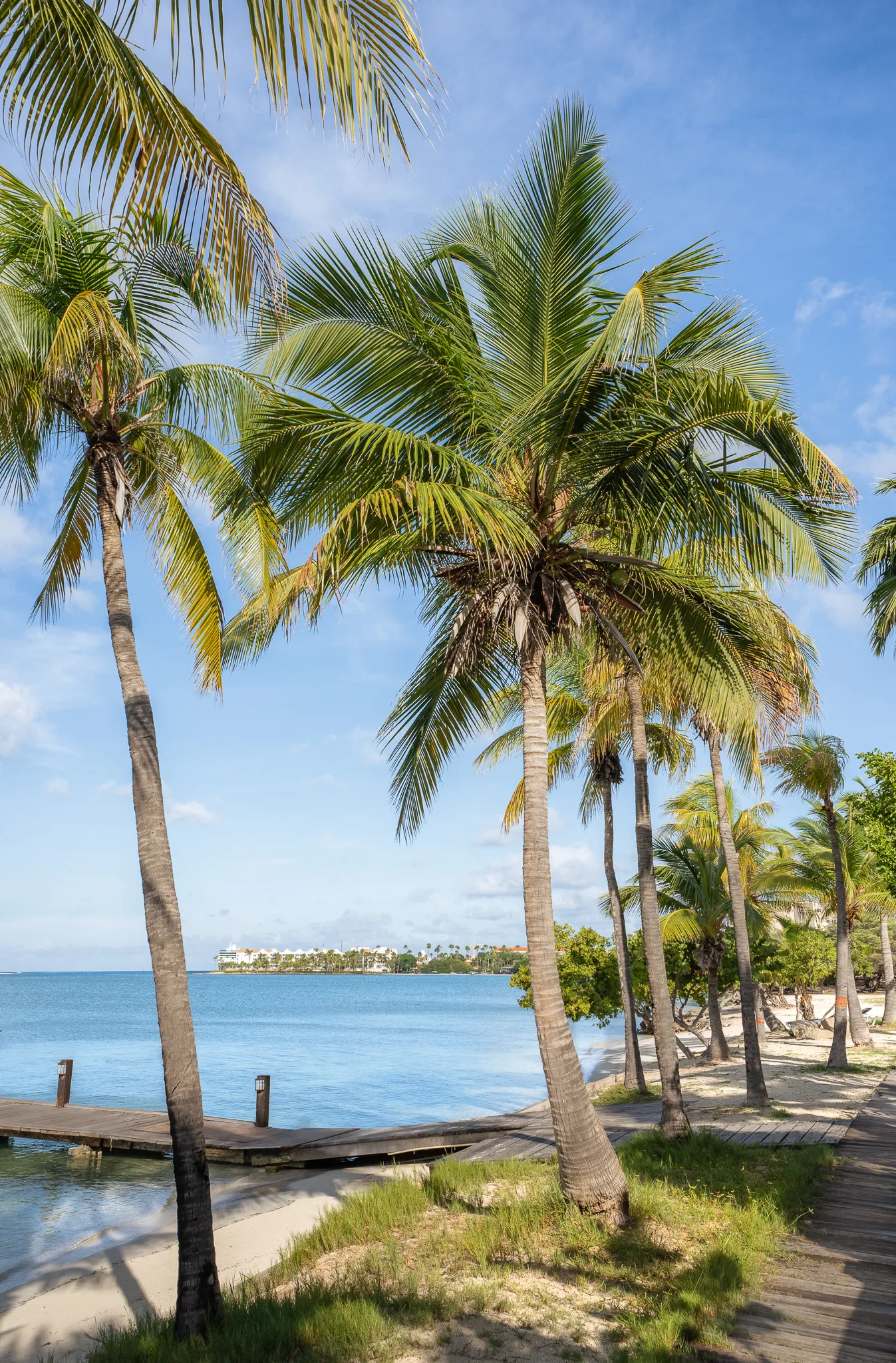 Tropical Breeze at Surfside Beach