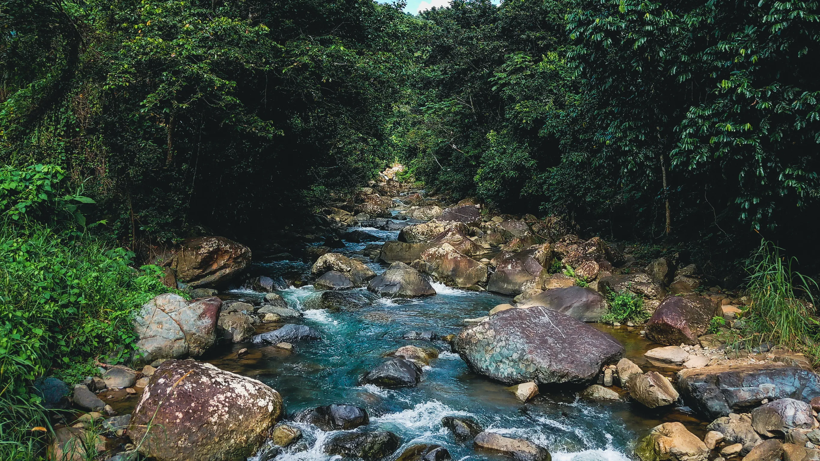 El Rio