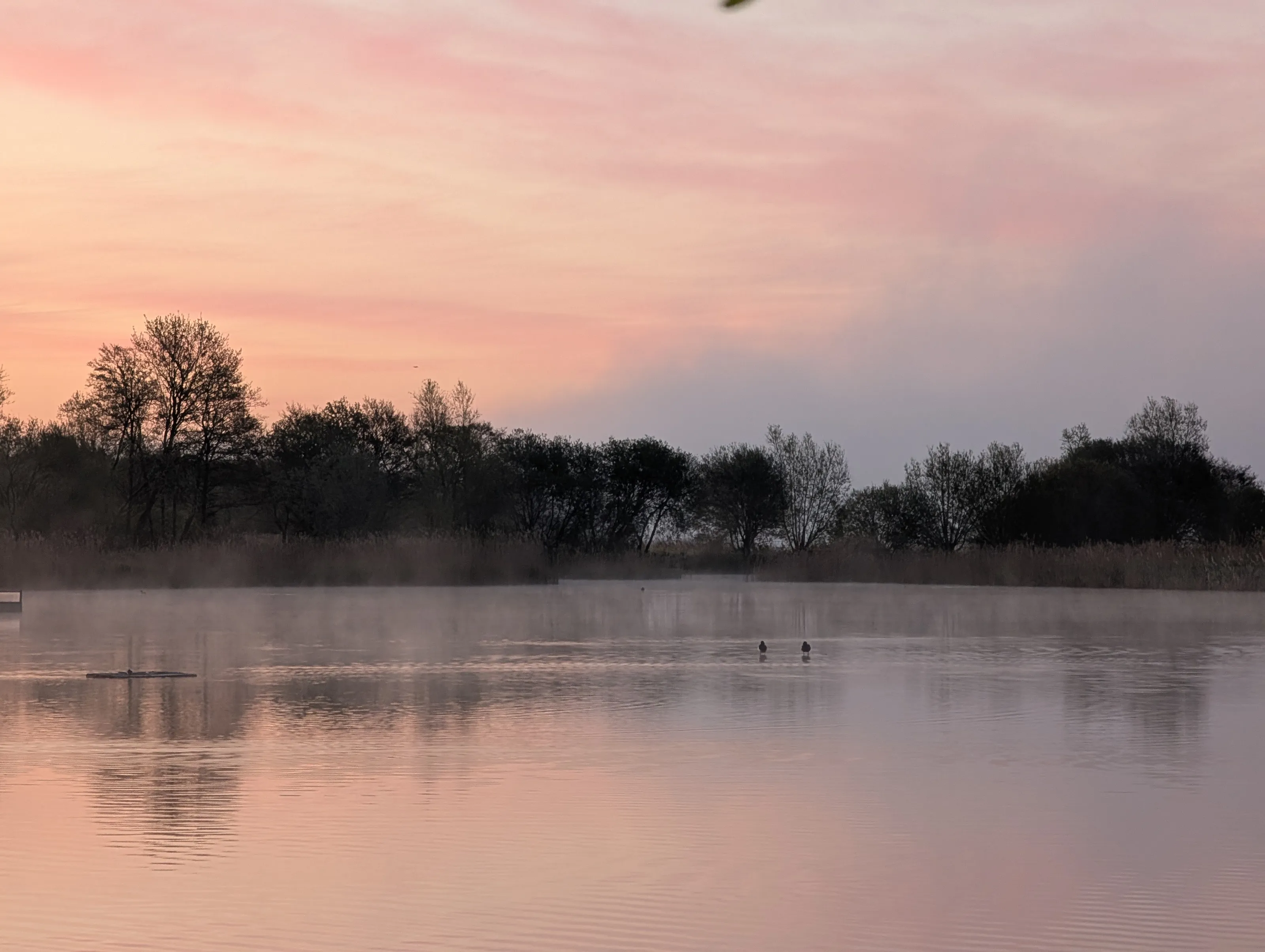 Early morning light at Ham Wall, Somerset