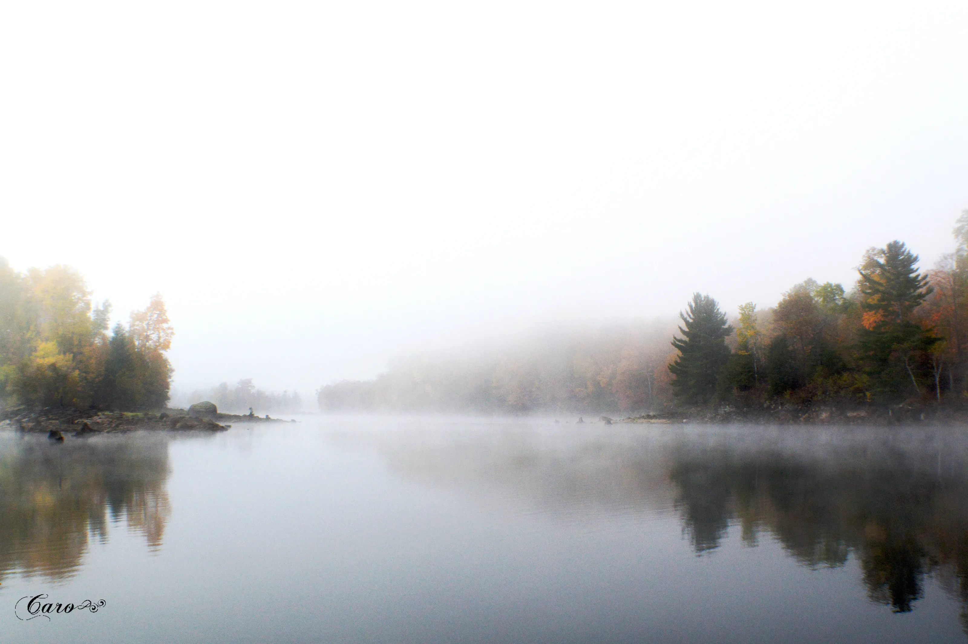 Serenity