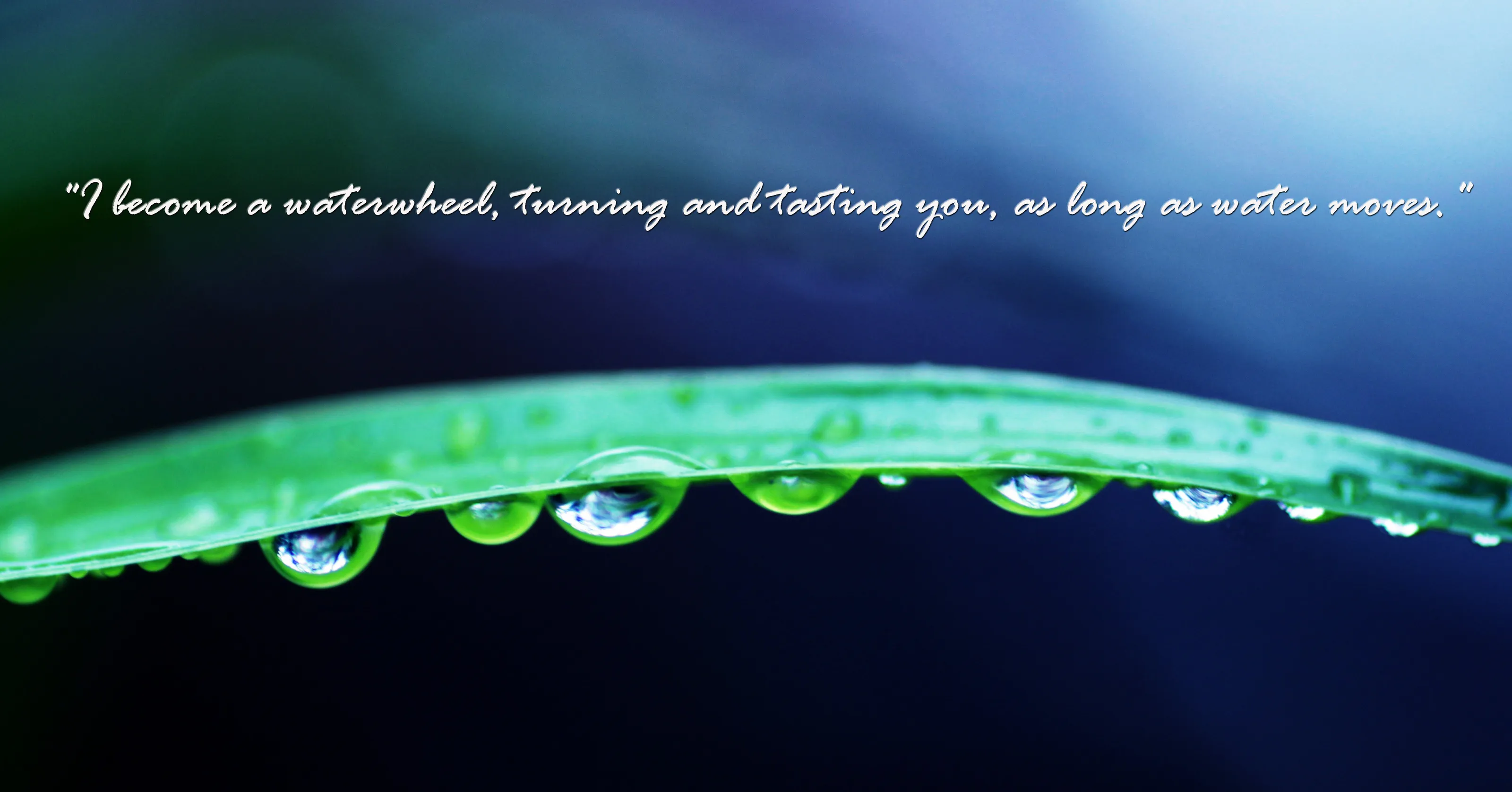 I have become a water Wheel ...
