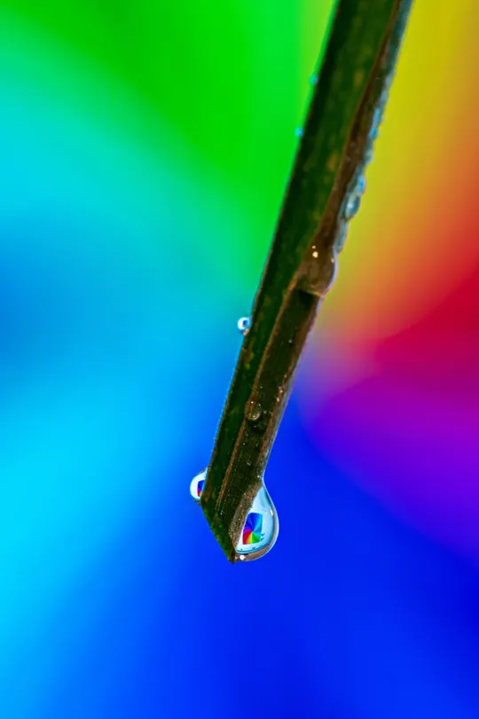 A Drop of Colour