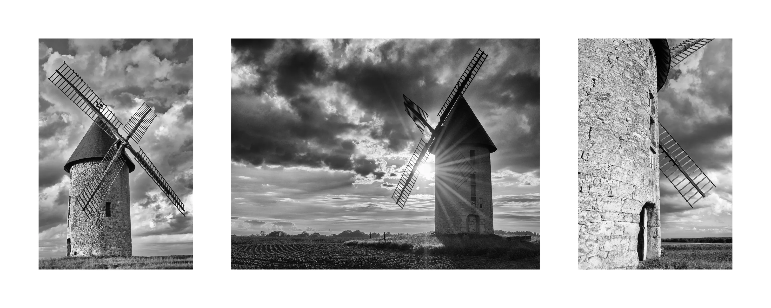Triptychs in Black and White
