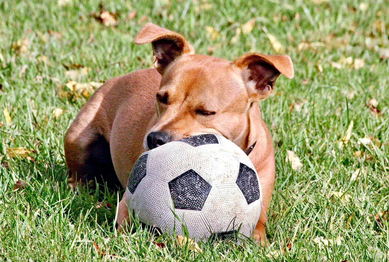 Resting on Her Ball