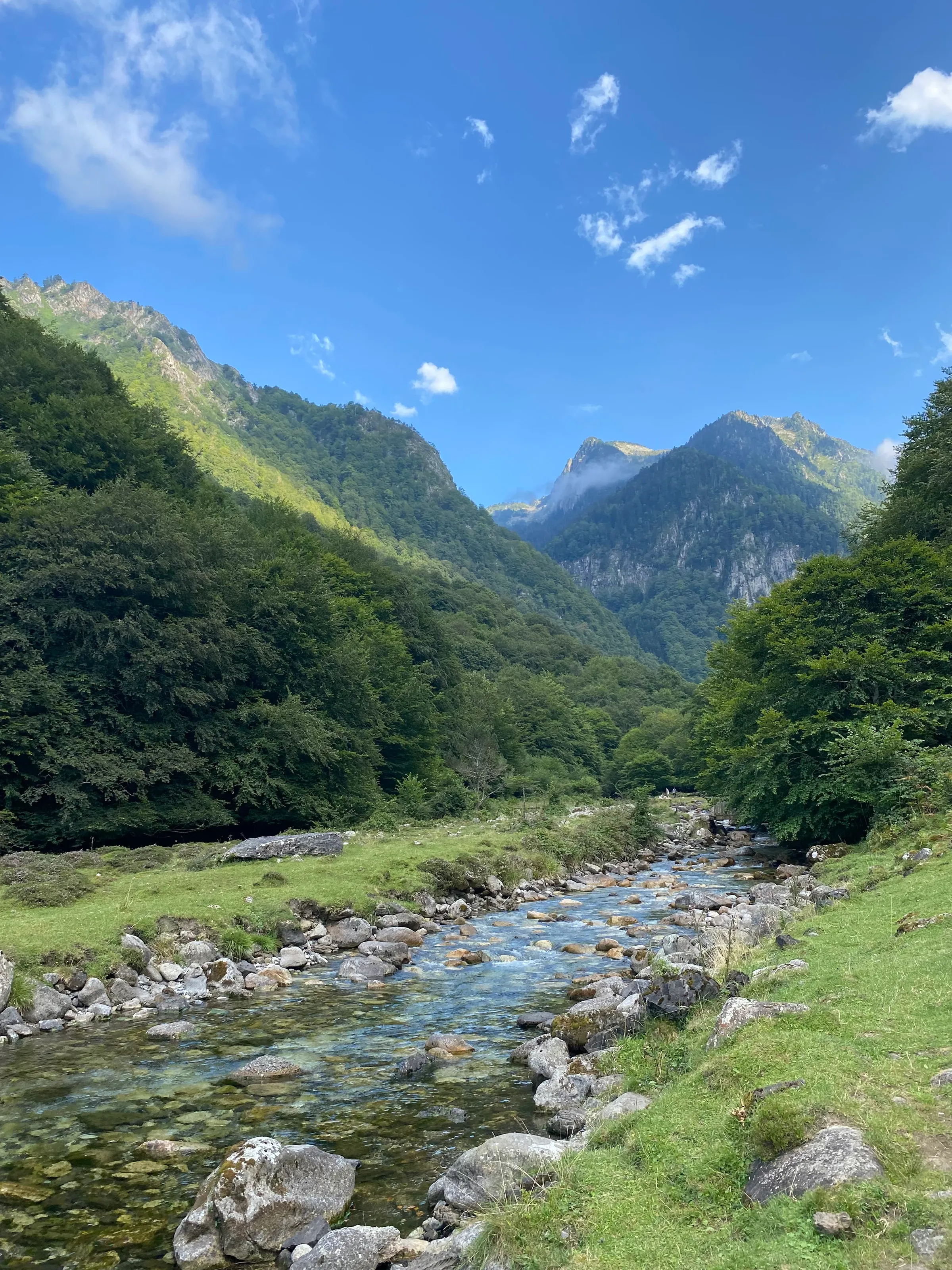 French Pyrénées
