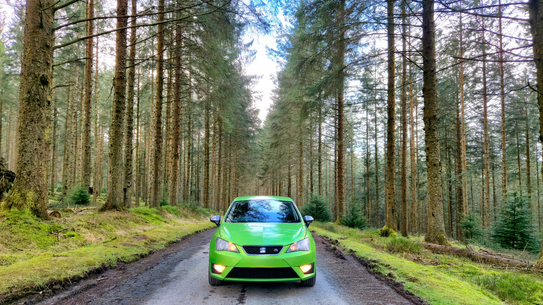Green on Green