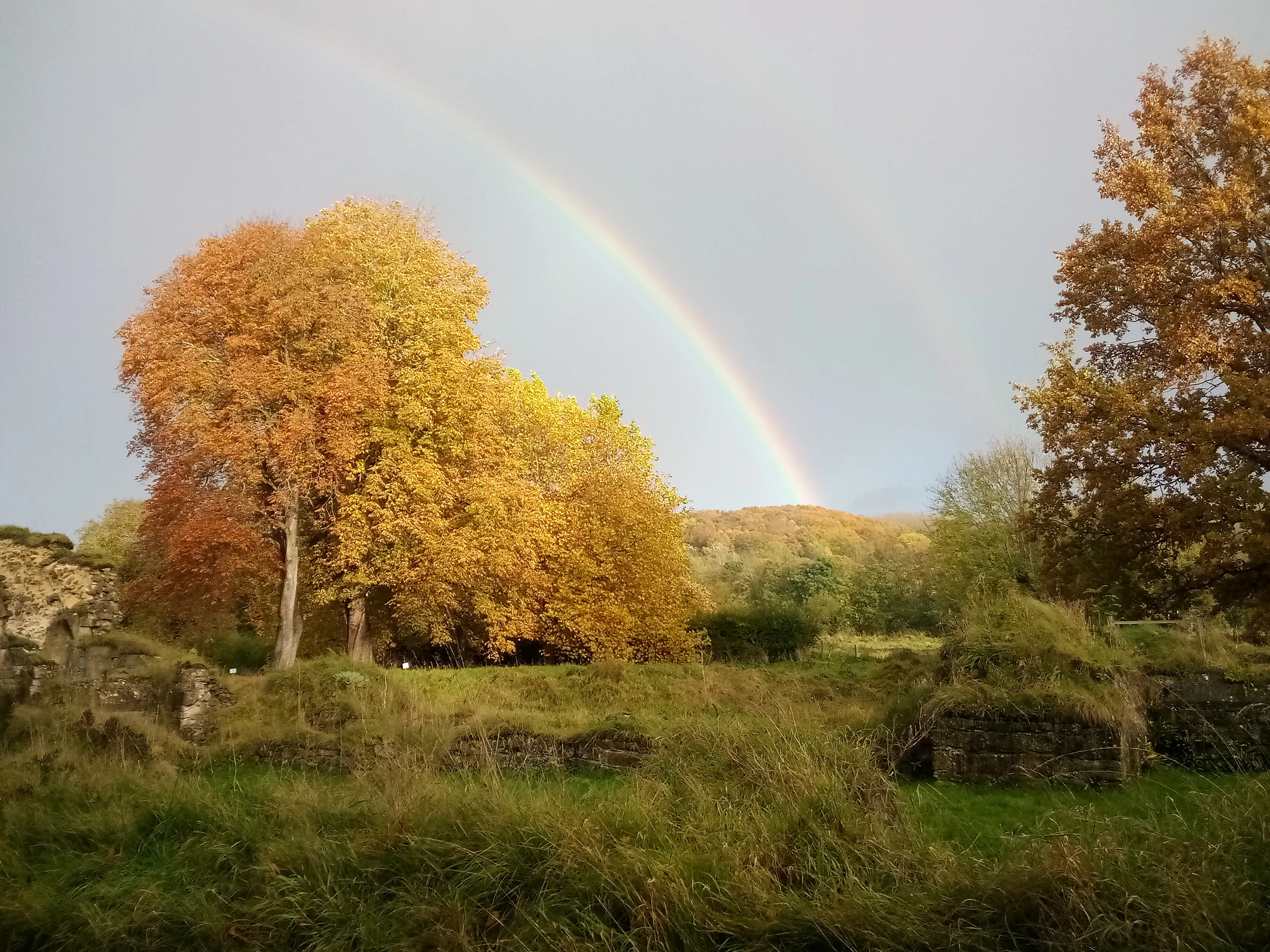 Autumn Rainbow