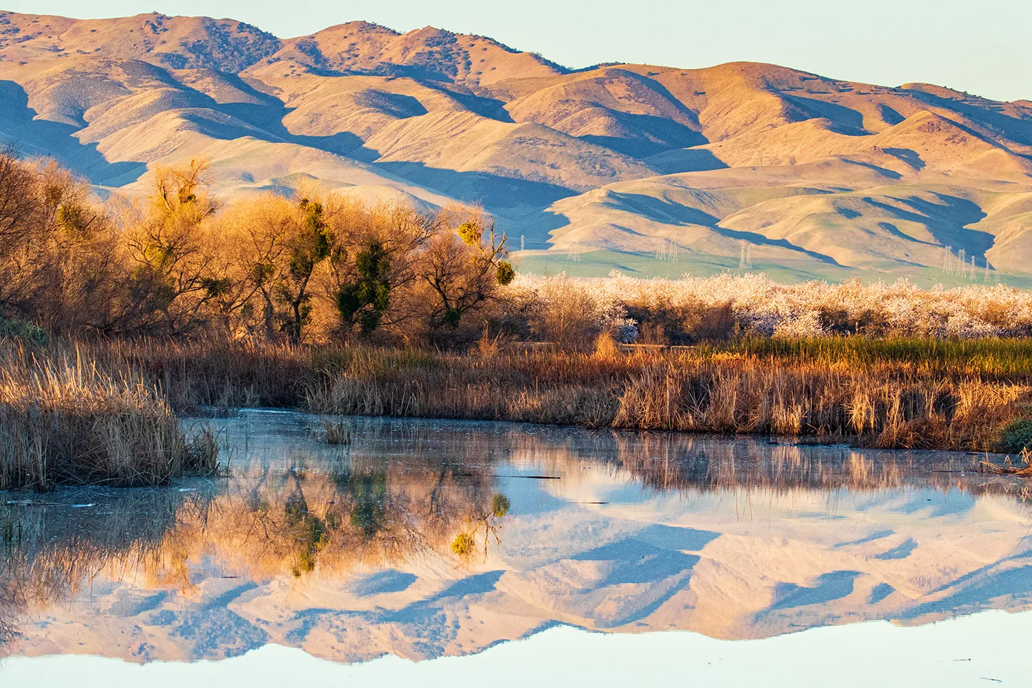 Central valley foothills