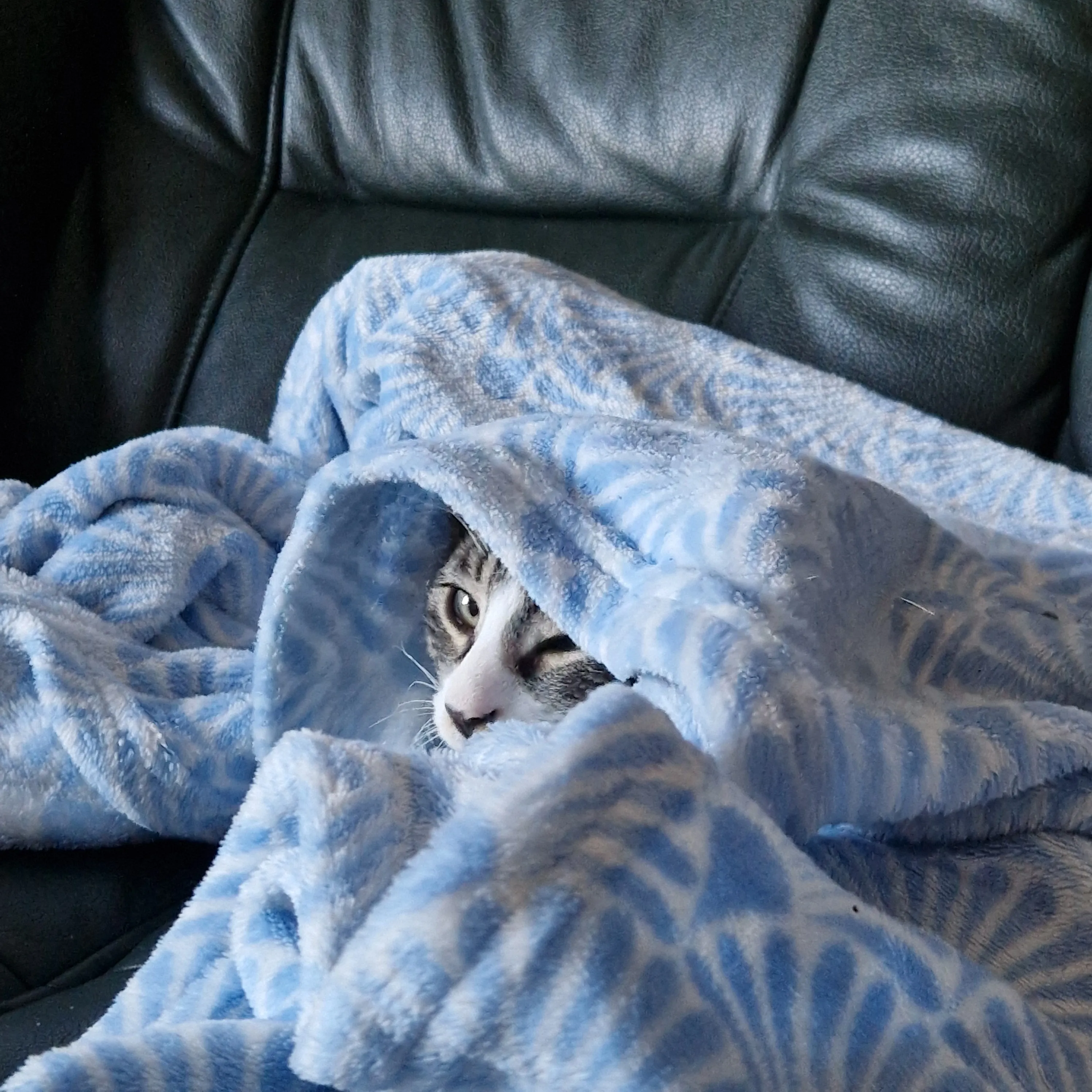 Sofus in his Blanket Cave