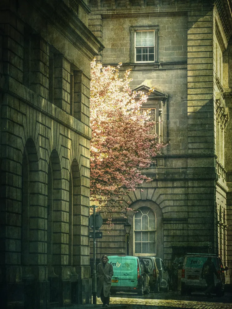 Urban nature