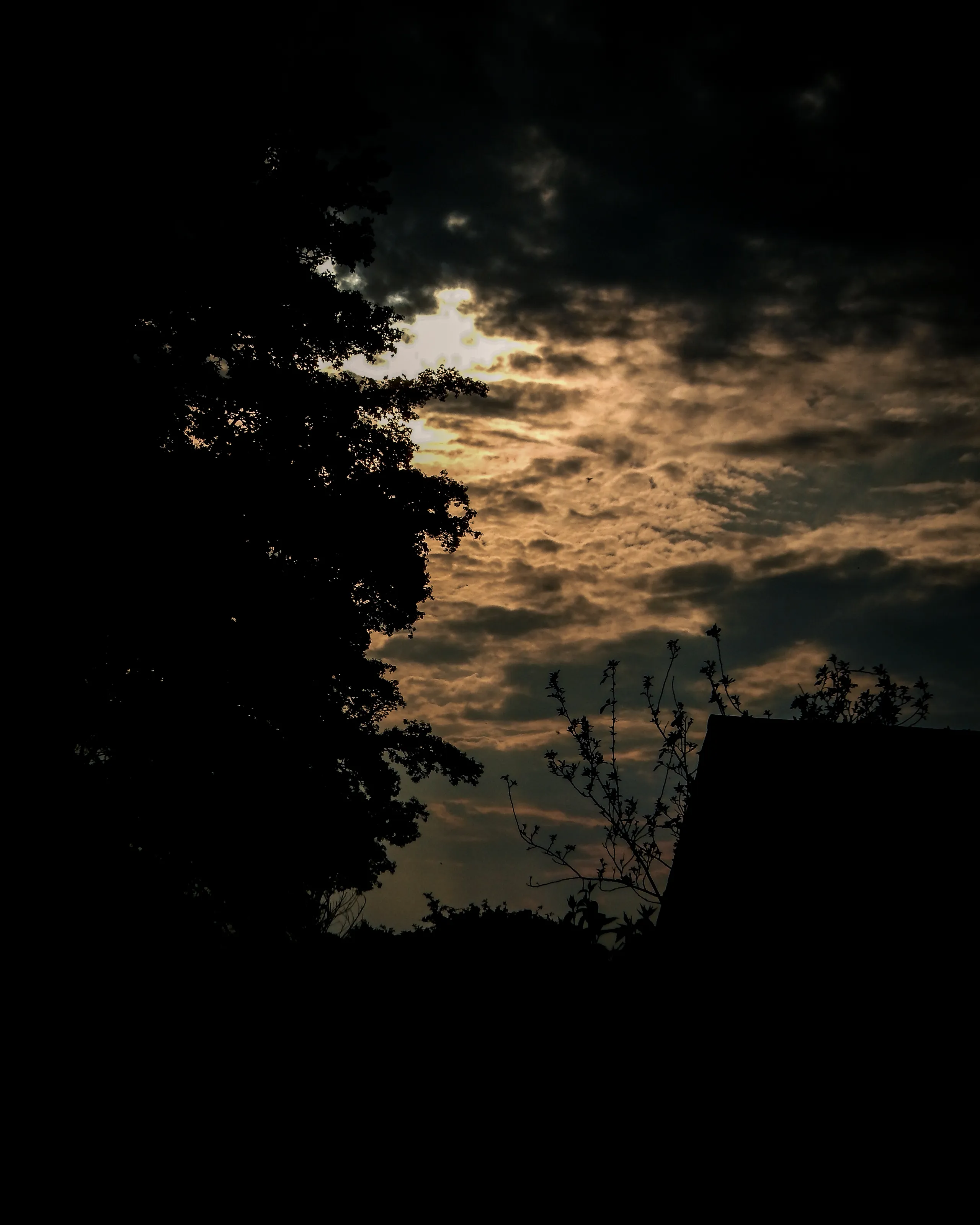 Nice little sunset