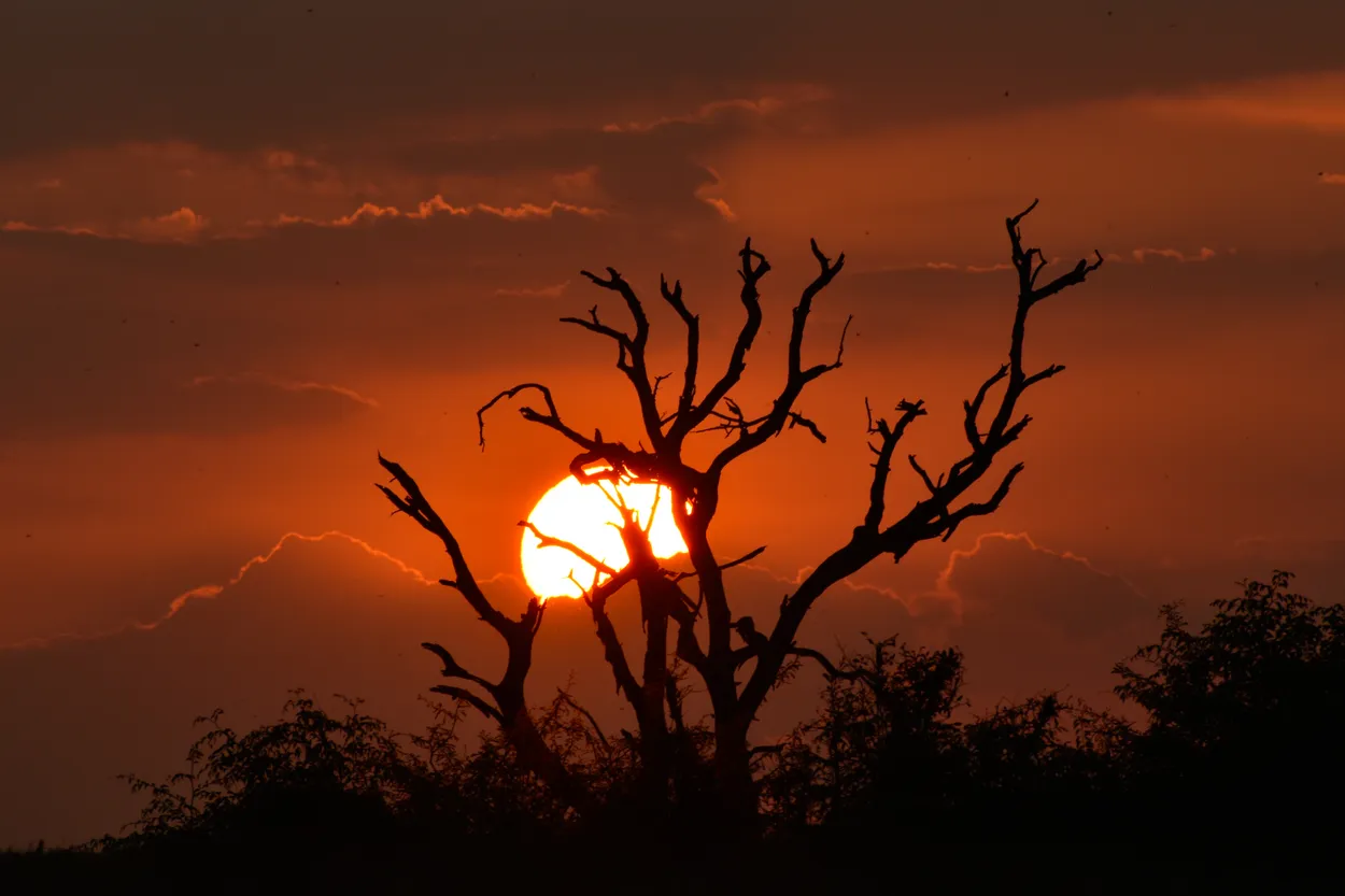 Sunset at Crocodile Bridge rest camp