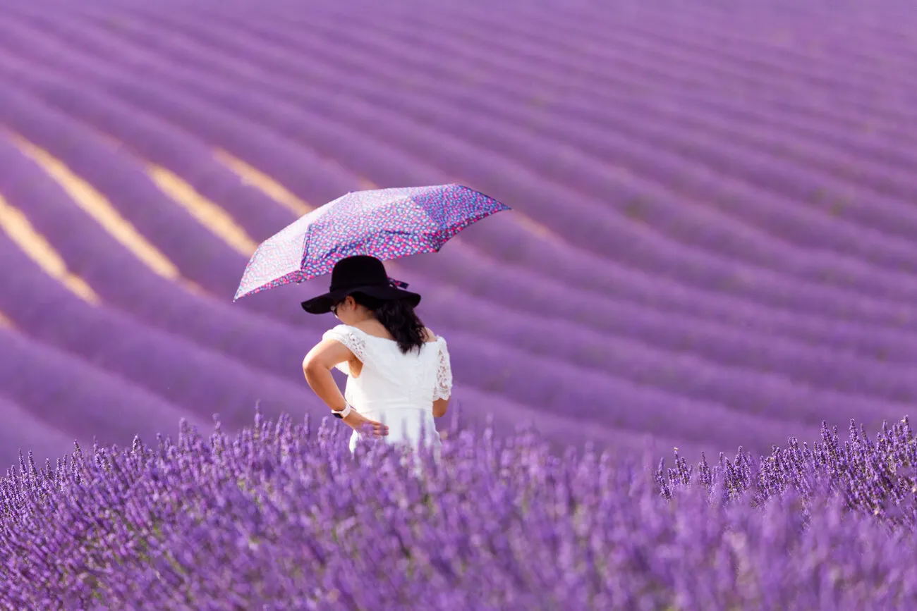 Umbrellas