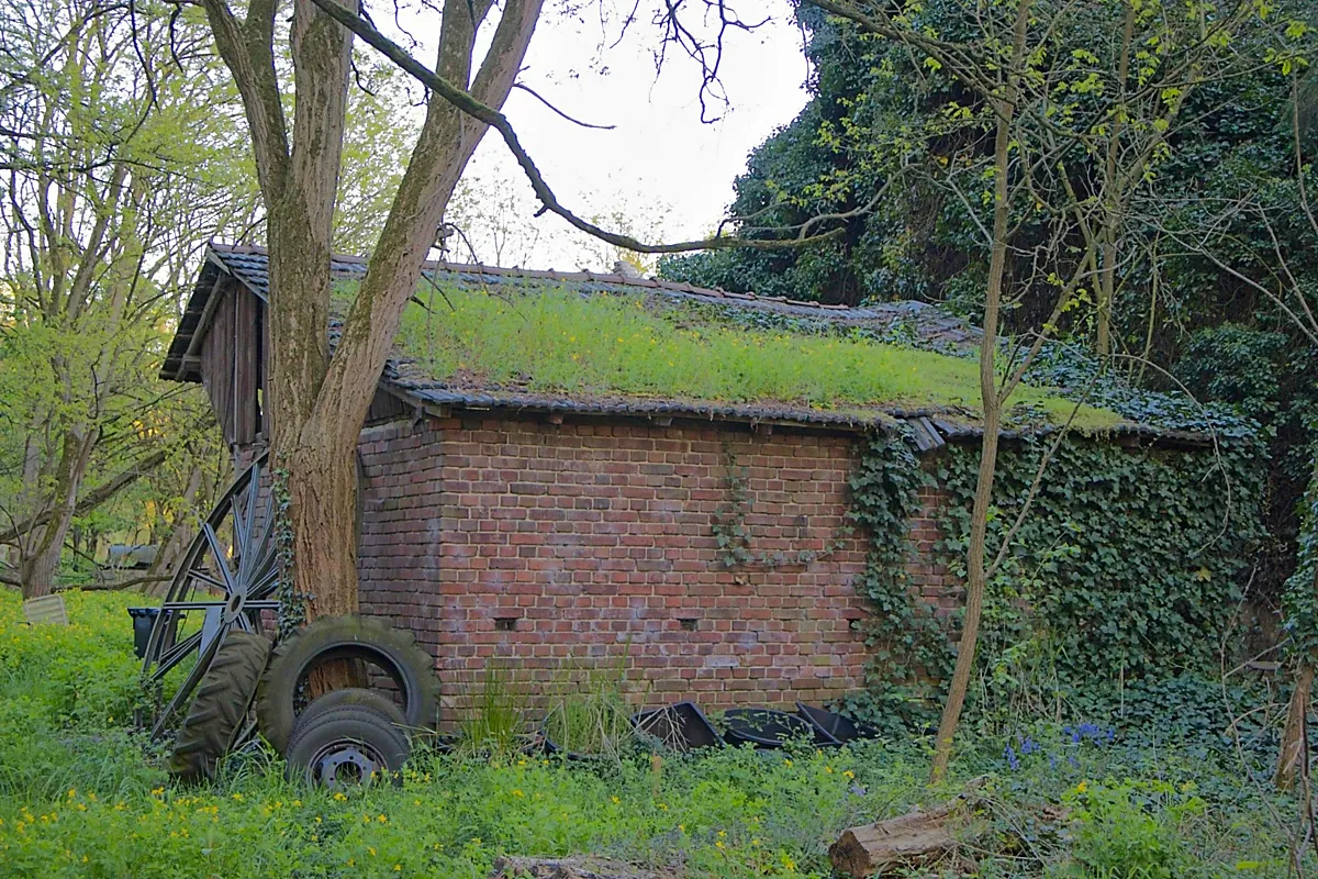 Reclaimed by Time