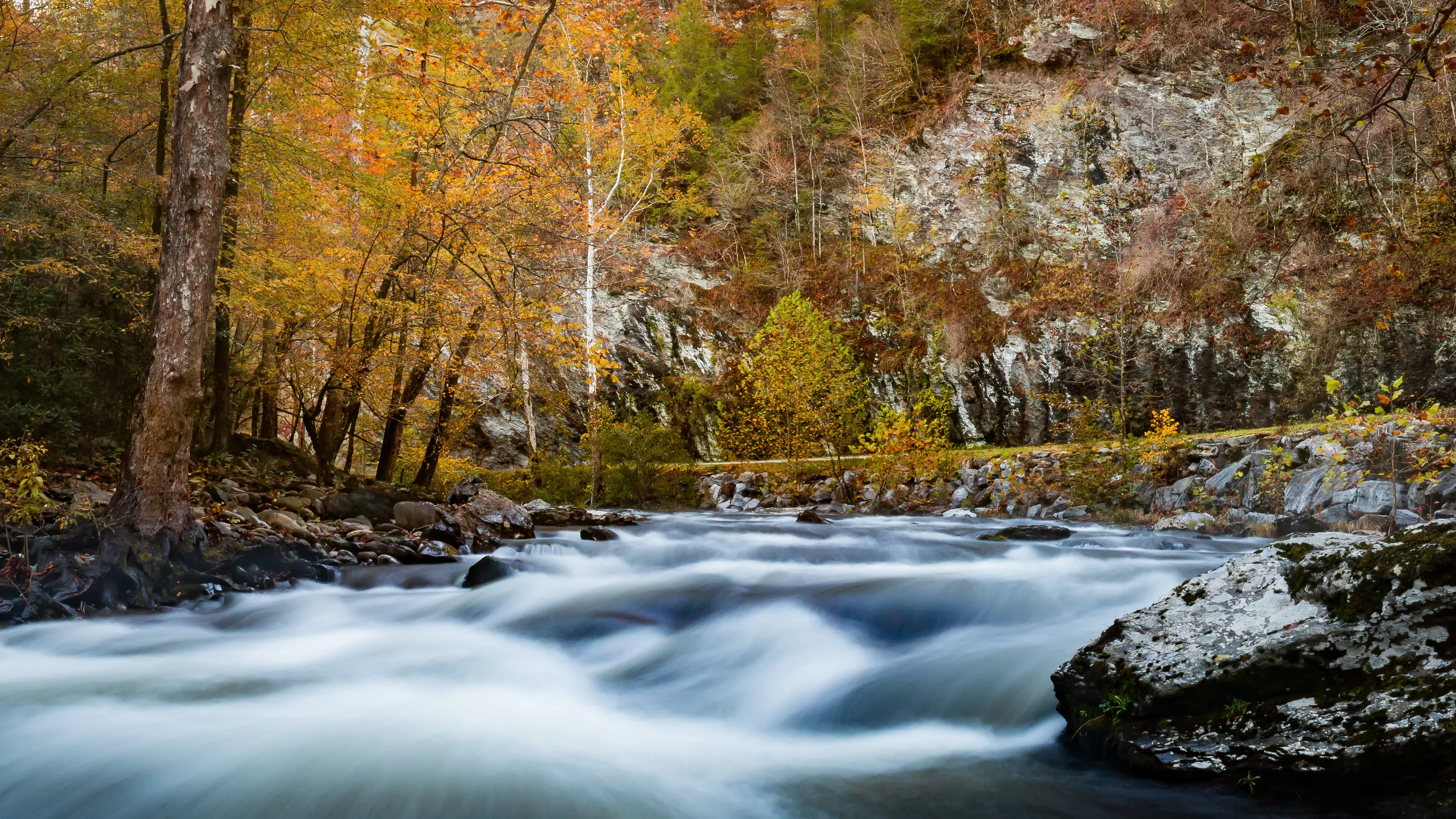 Fall on Little River