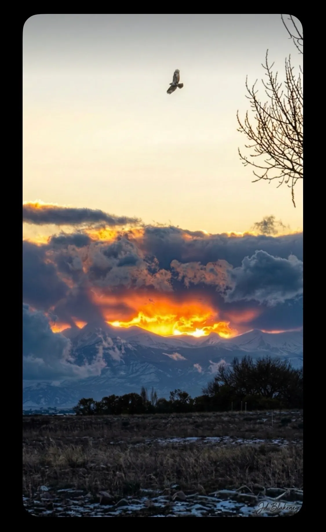 Eagle over Volcano