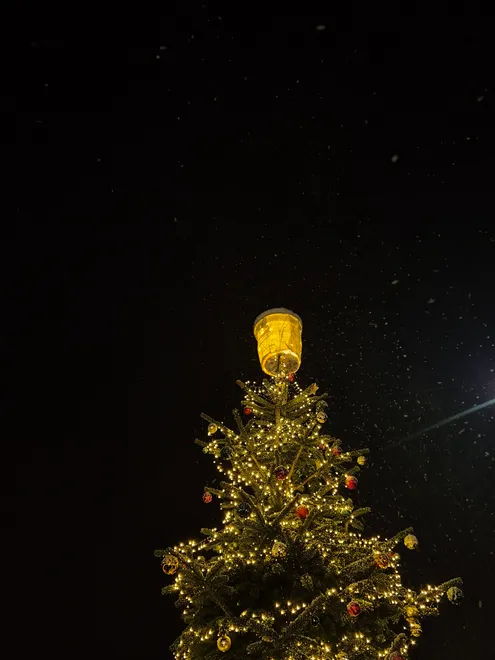 🎄