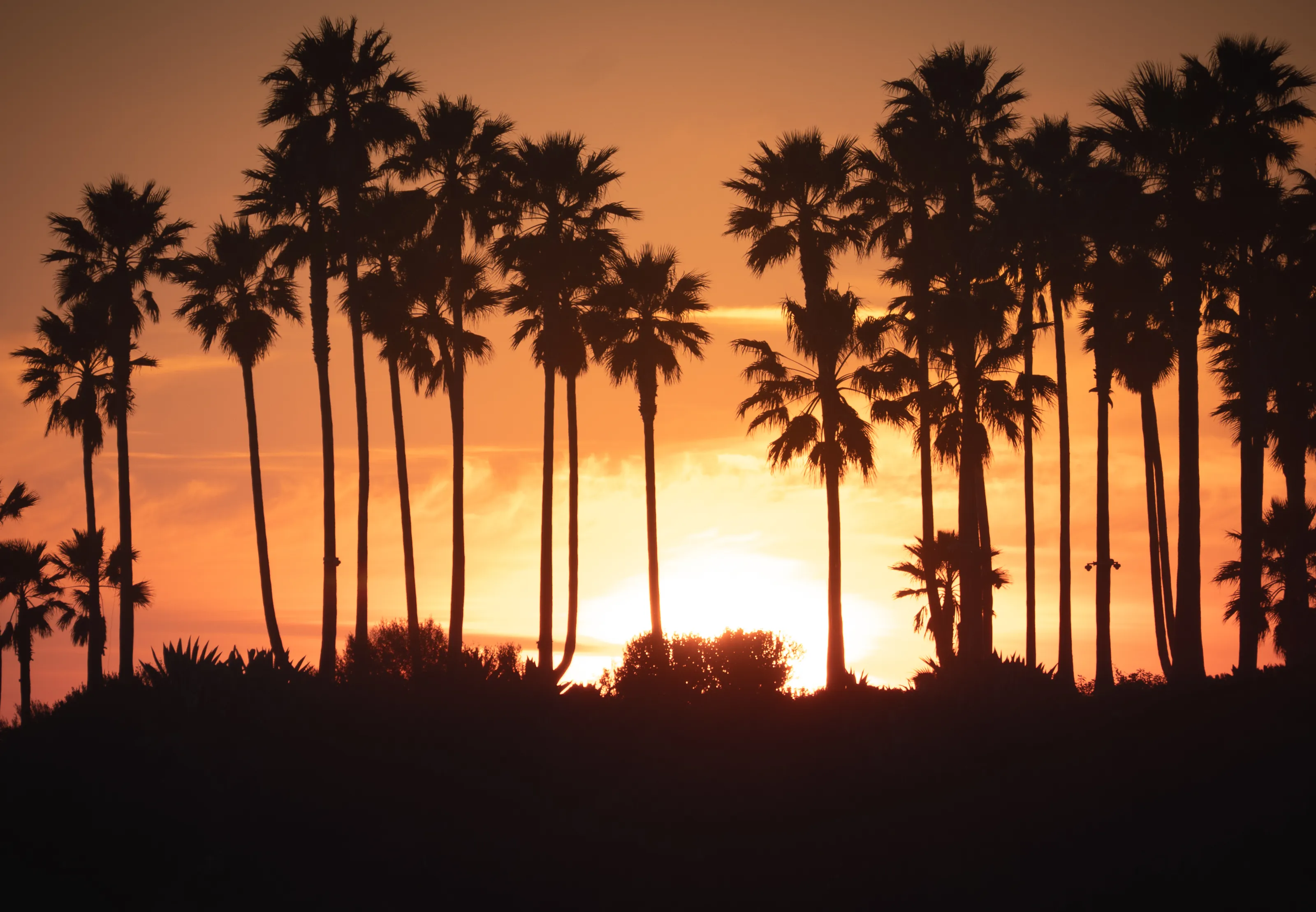 Laguna Sunset