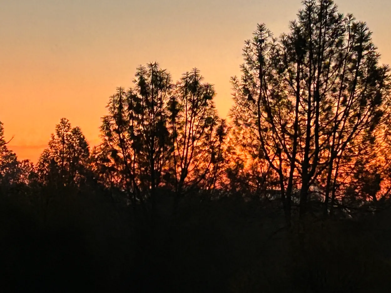 Sun rising