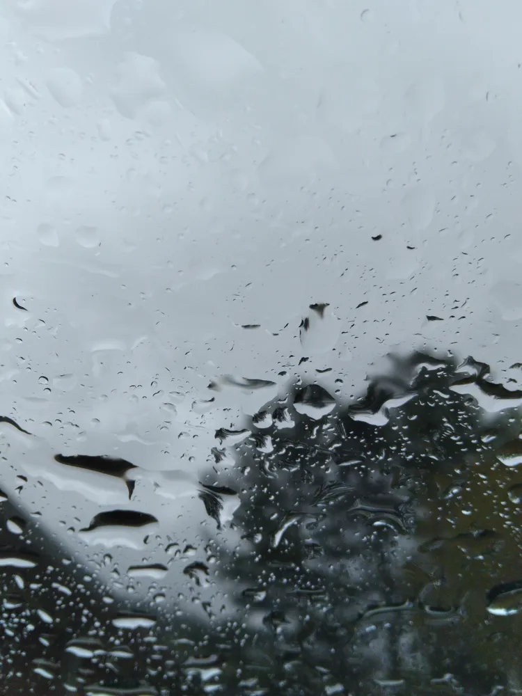 Rainy days