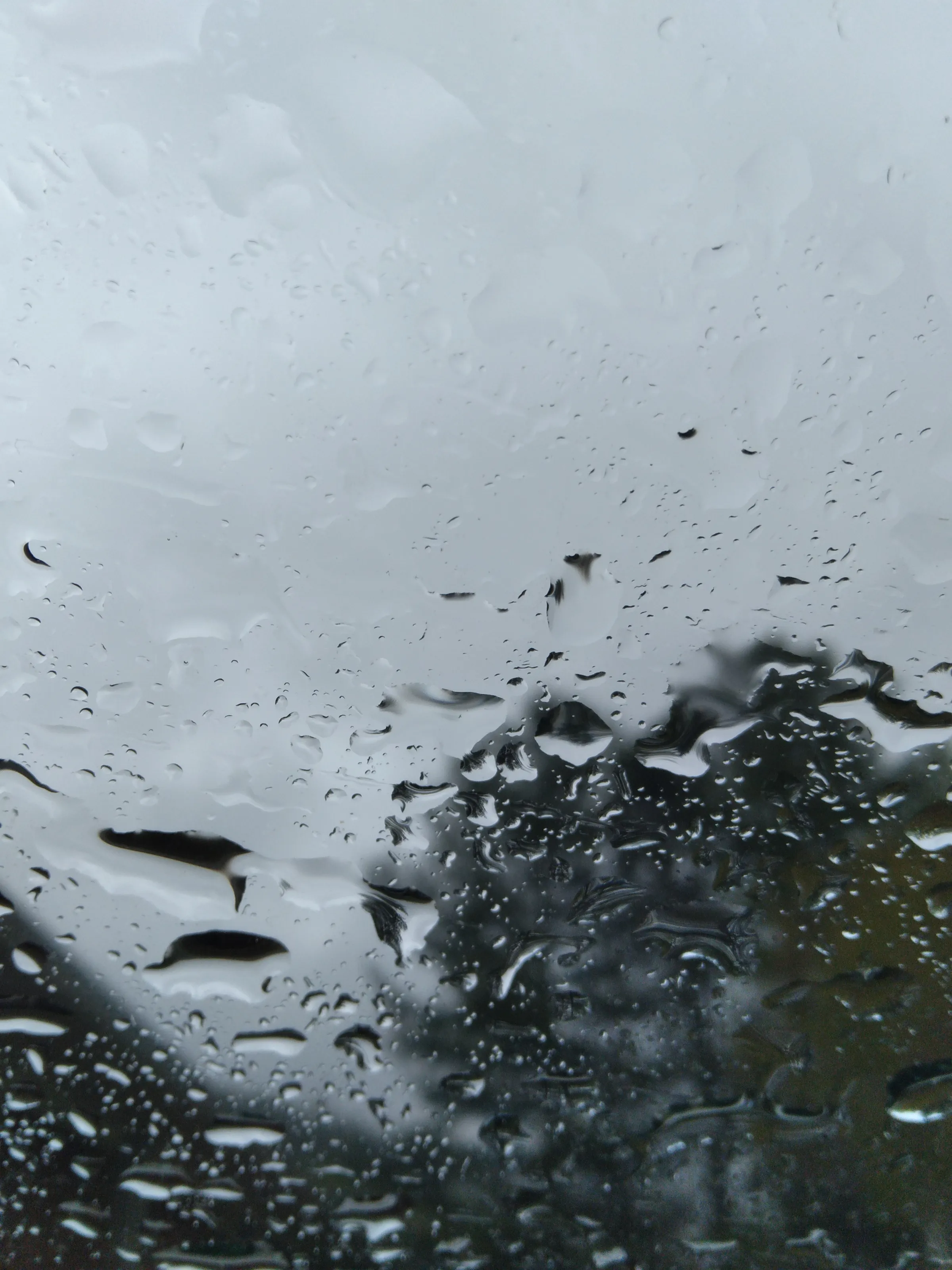 Rainy days