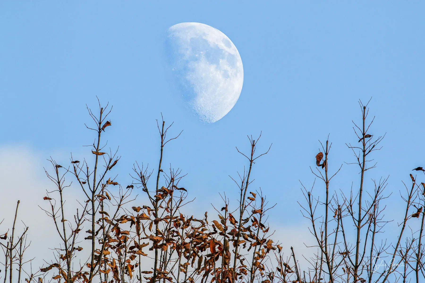 Daytime moon