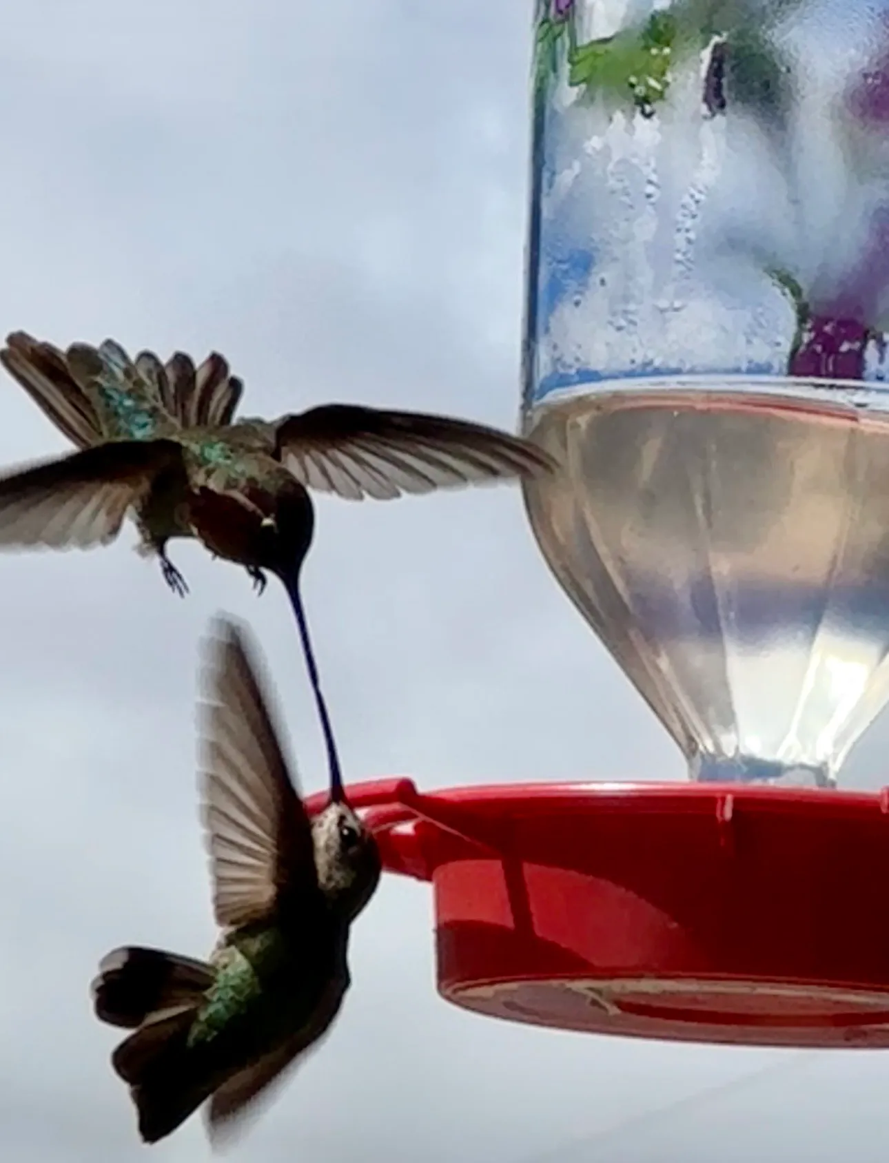 Midair Kiss: A sip suspended in time