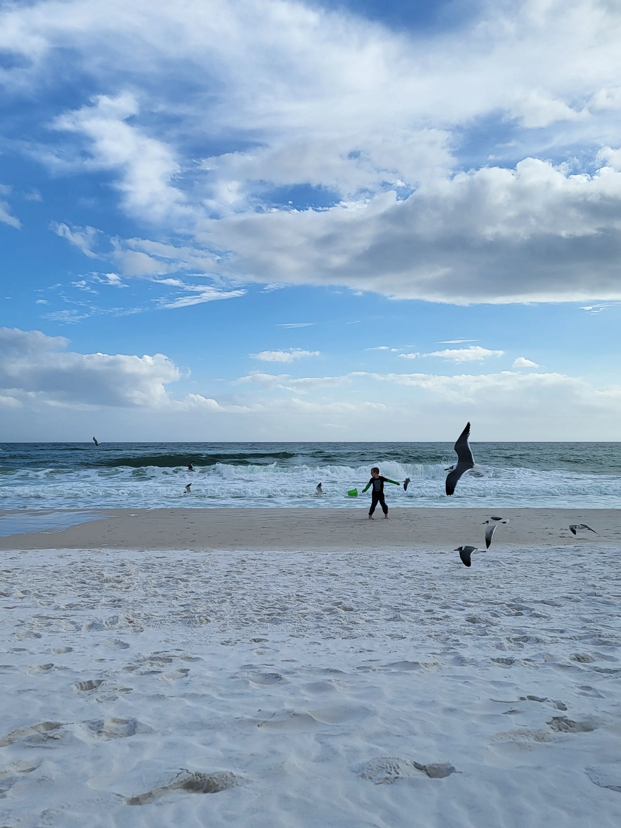 Fly with the Birds