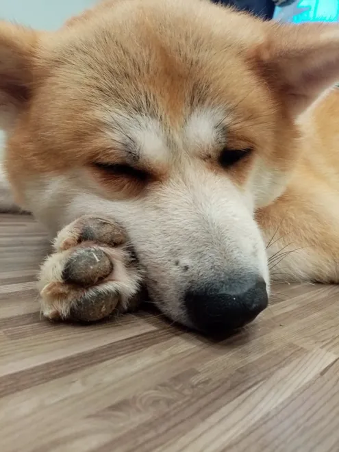 tired