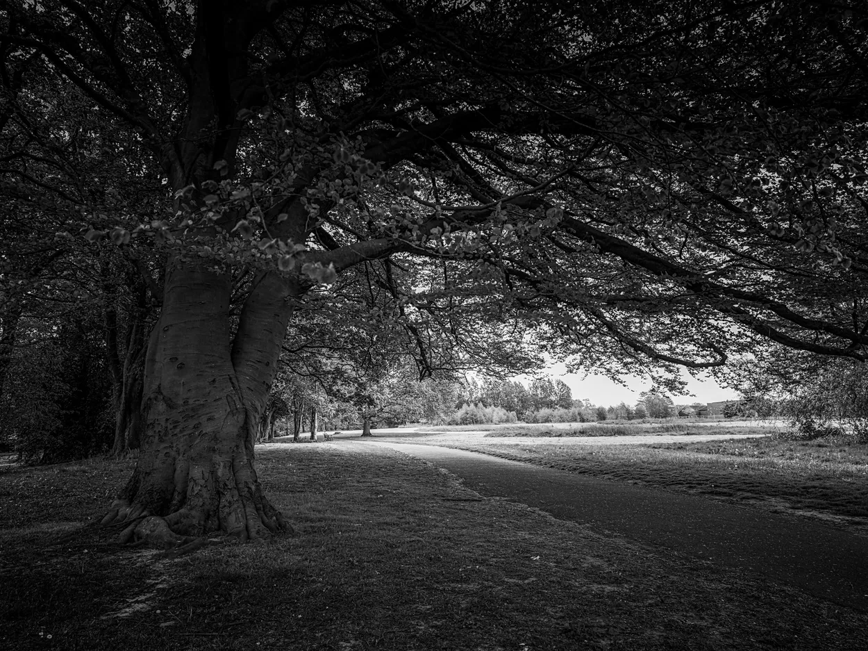 Beneath the Weight of Quiet Shadows