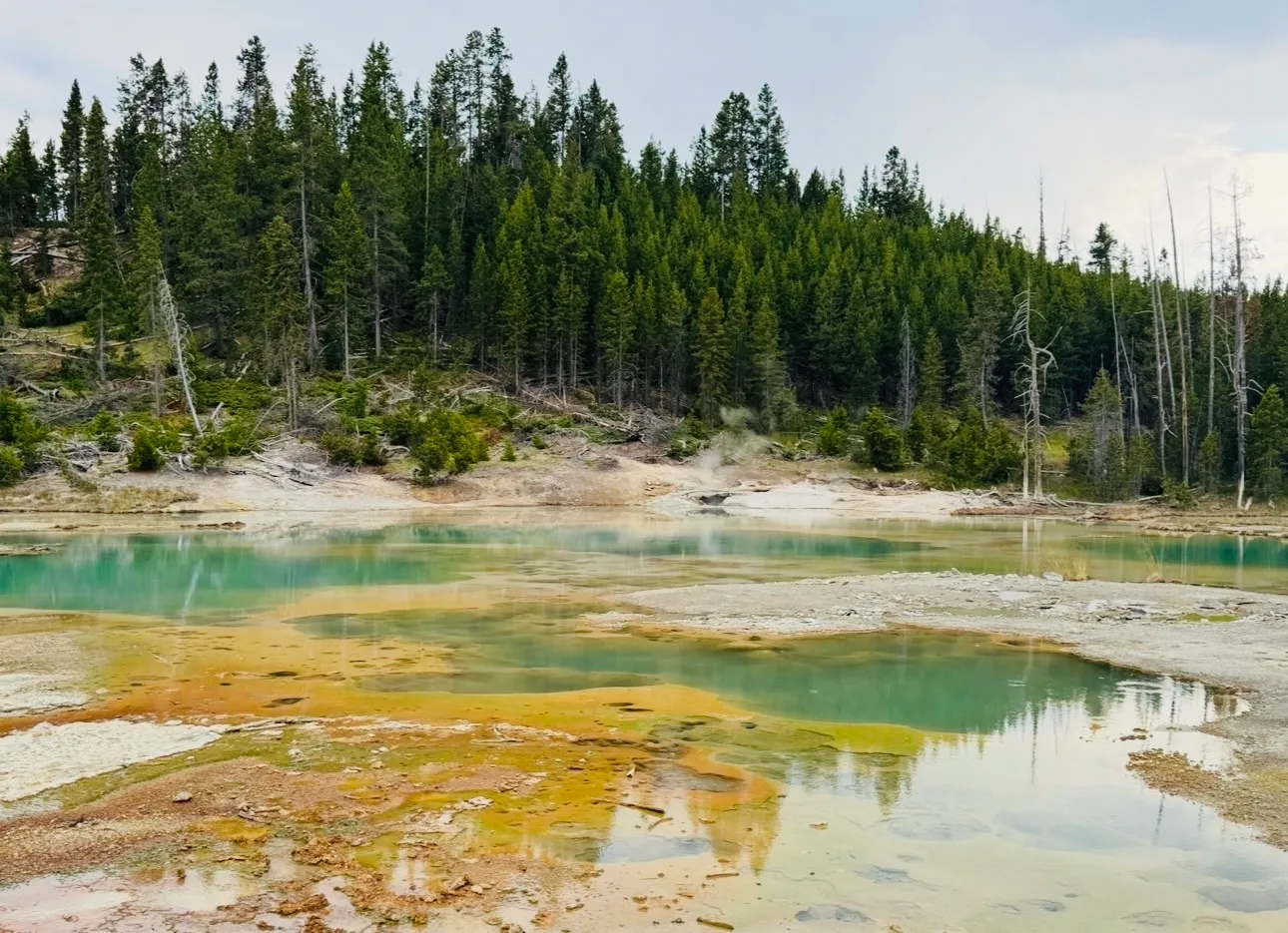 Jewels of Yellowstone
