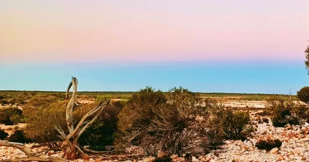Twilight in the Outback