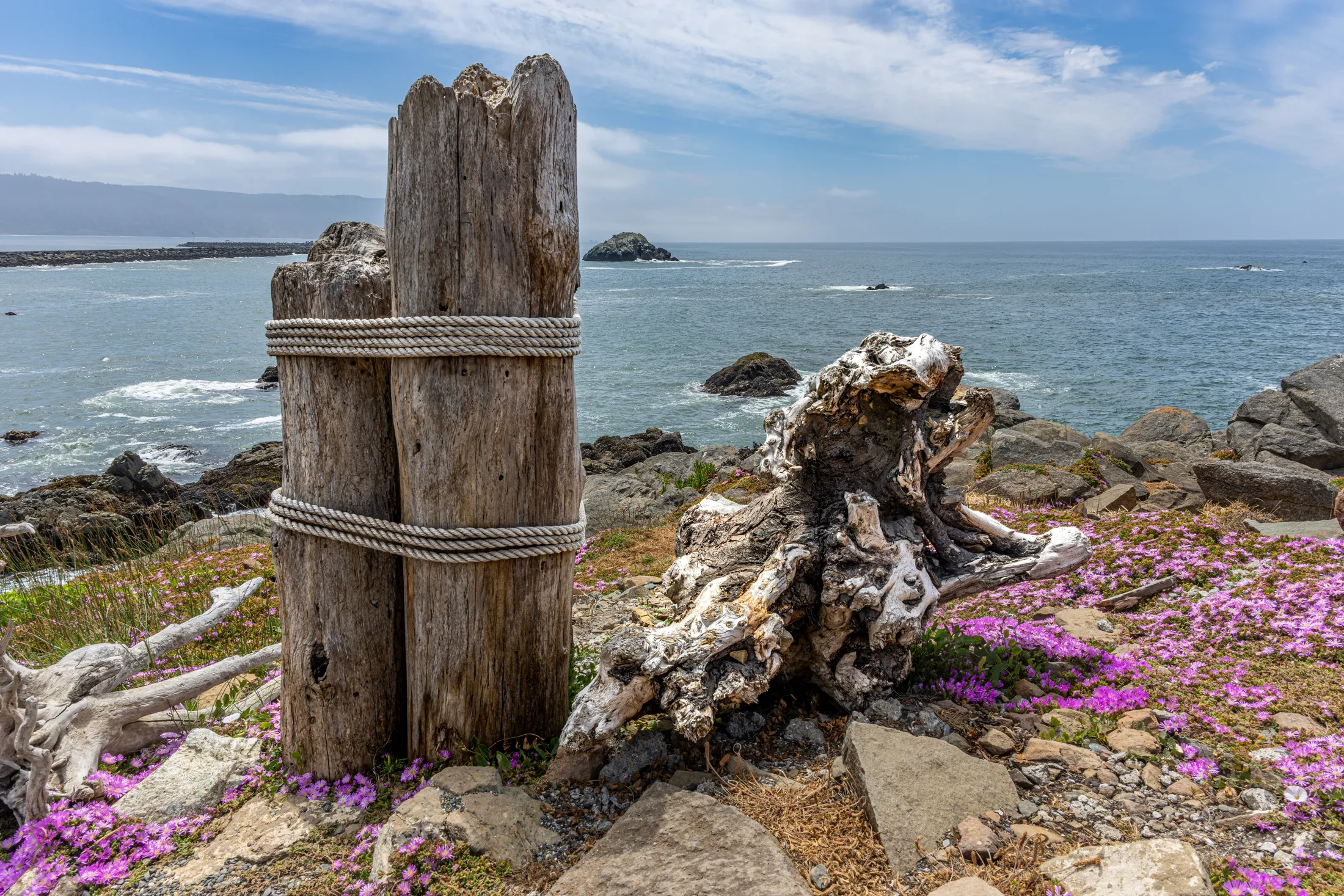 Driftwood