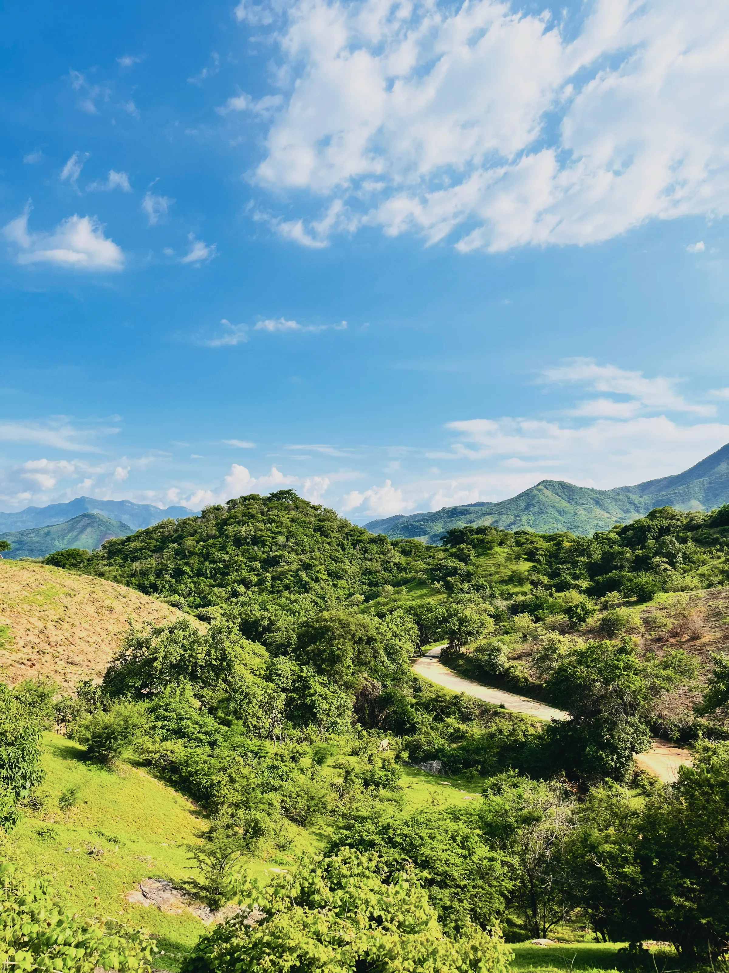 Aerial view of green hills and rural road under a vibrant blue sky