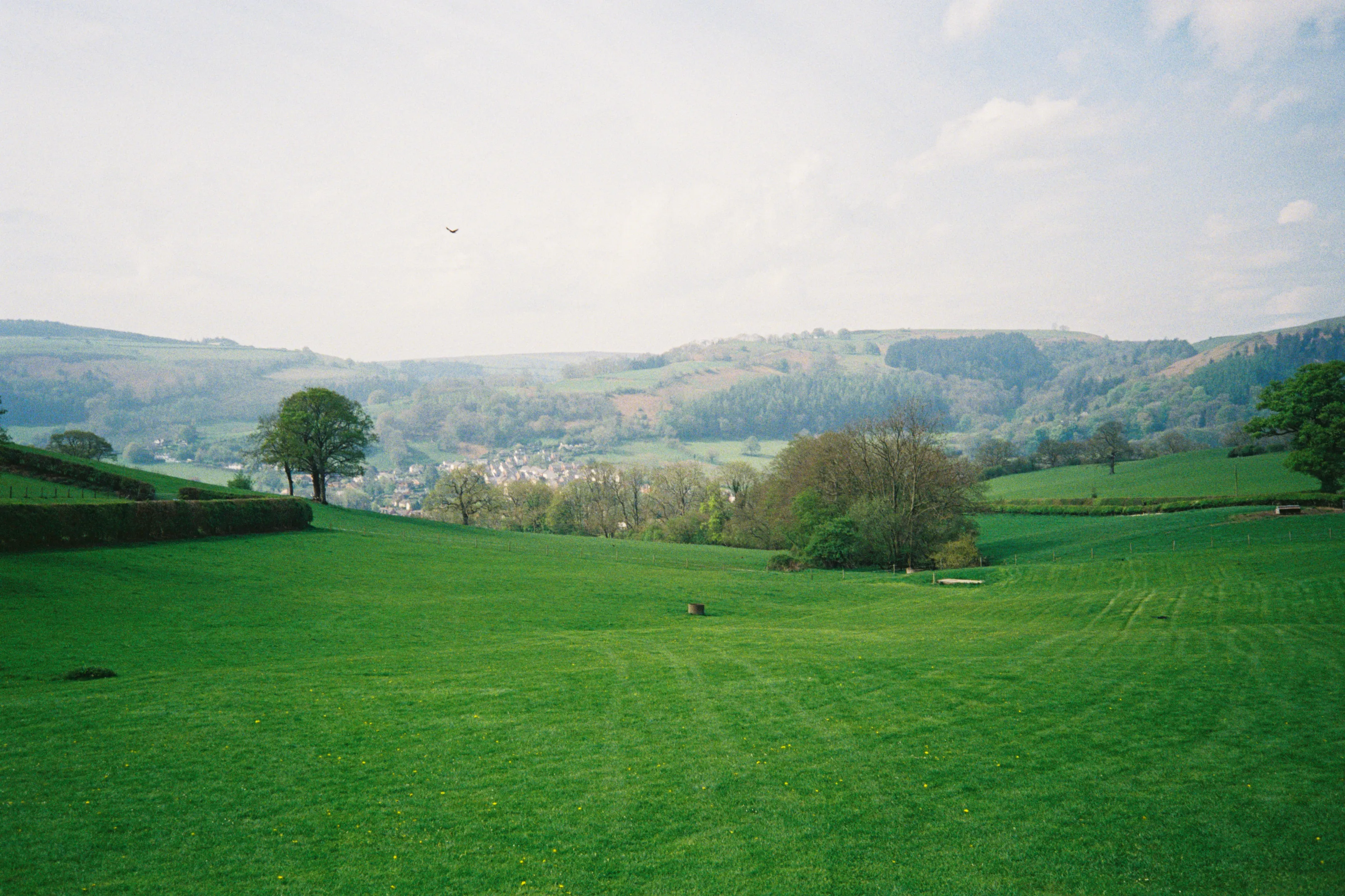 Fields of Llangollen