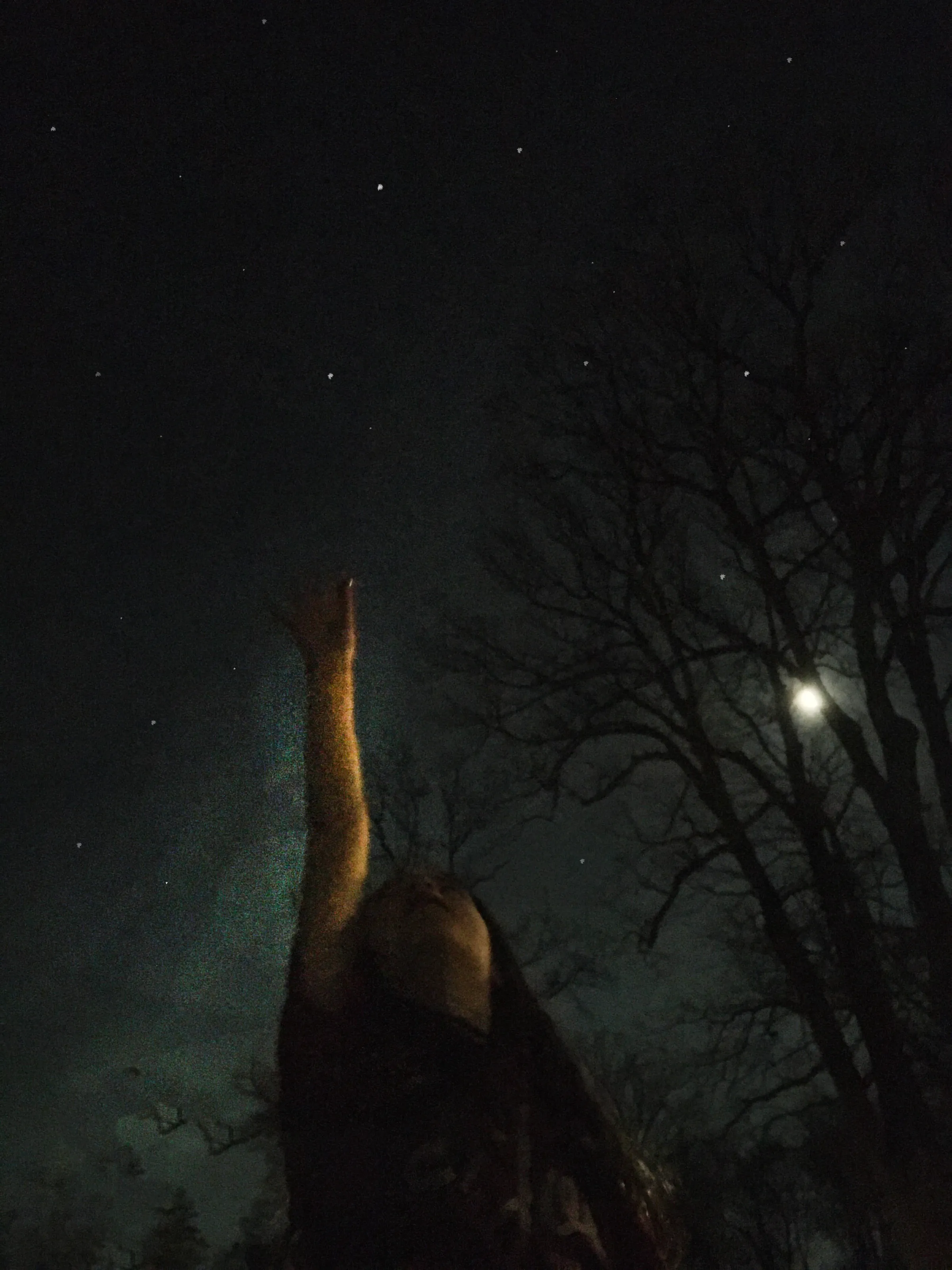 reaching for the stars