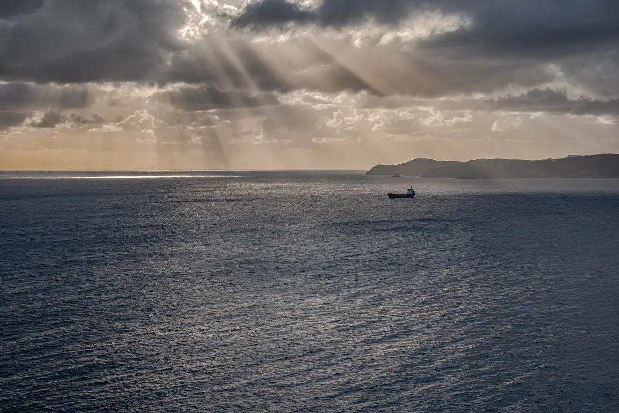 Entry 28619453