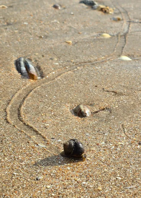 The Path of Patience