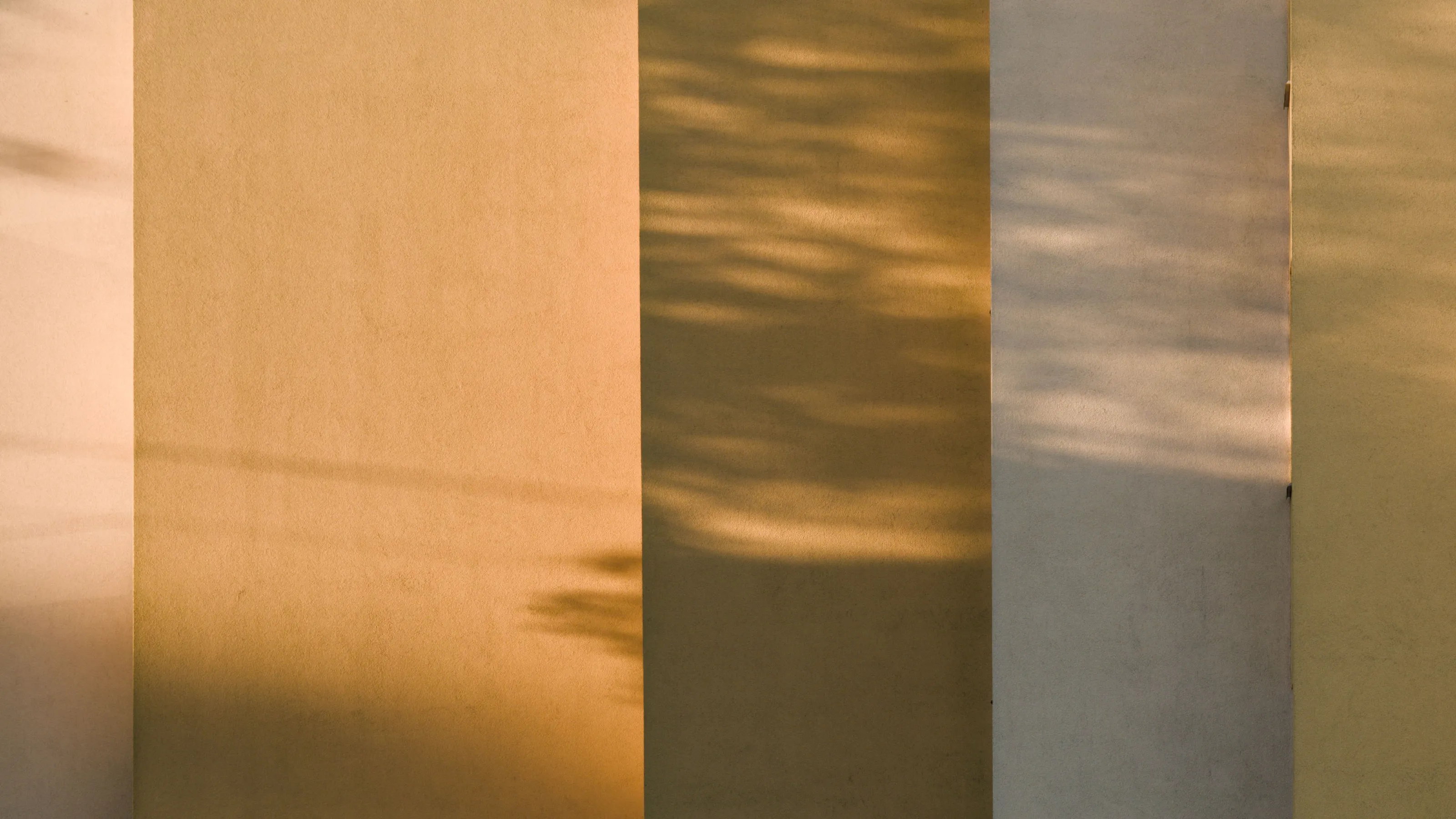 Shadows on Walls