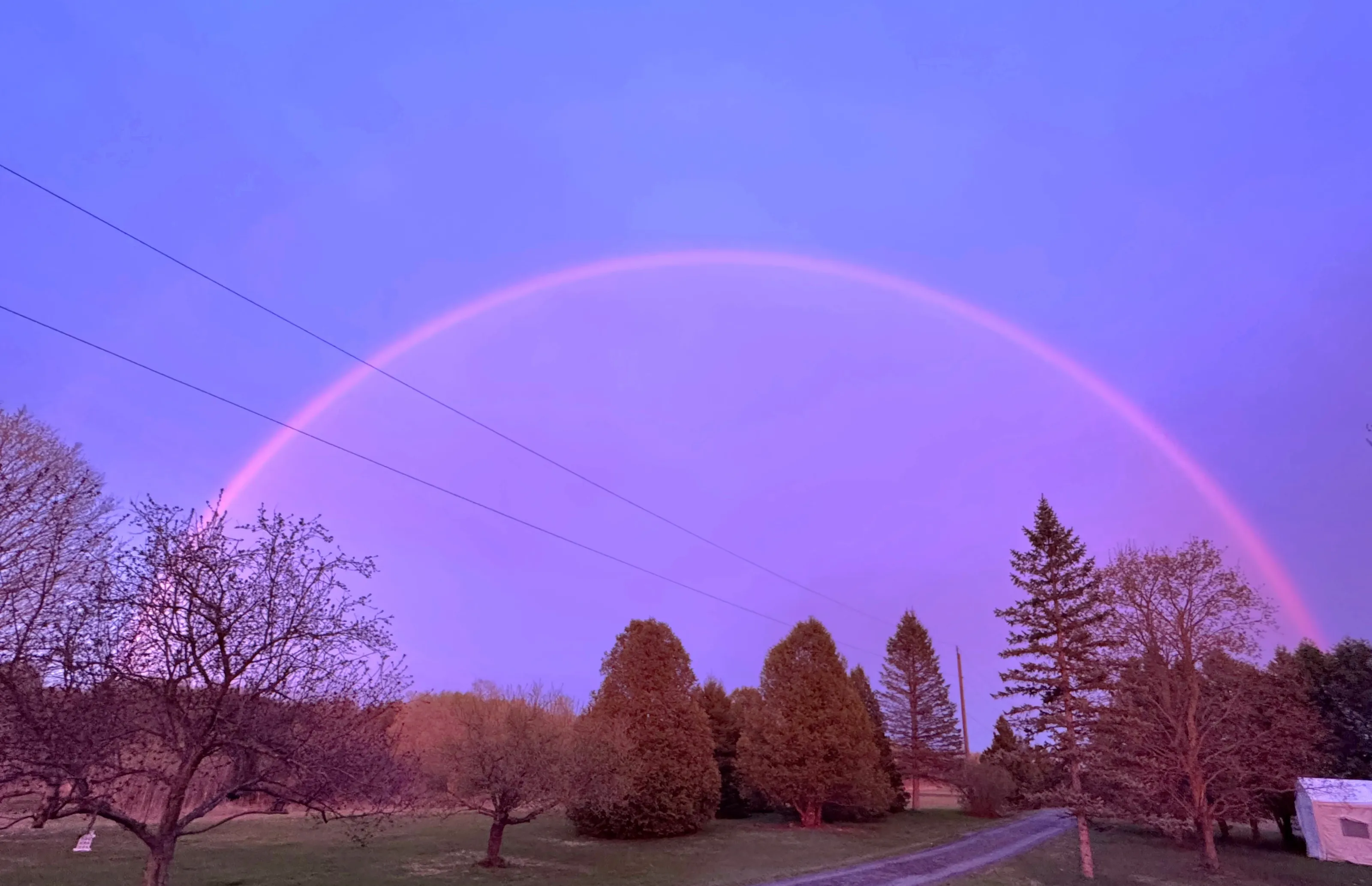 May Rainbow