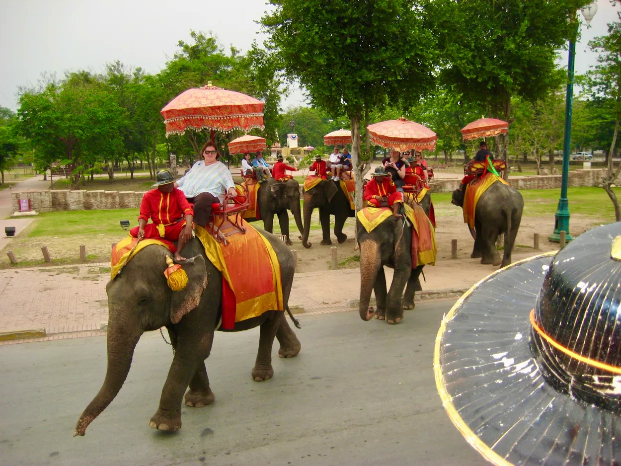 Tourists riding elephants adorned with ceremonial umbrellas in Ayutthaya, Thailand