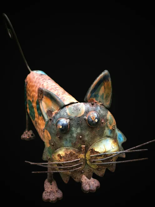 My Rust Model 😺